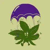 FLY HIGH - design