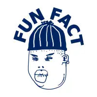 fun fact - design