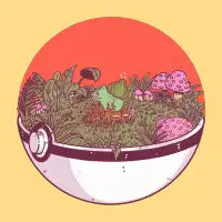 Poke-terrarium 2 - design
