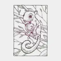 Offering Squirrel - design