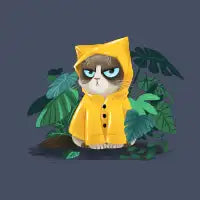 Rainy Day - design