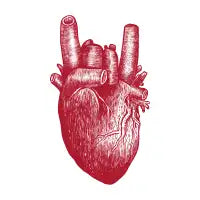 Party Heart! - design