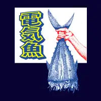Electrifishy - design