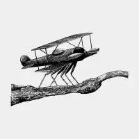 Fly Plane - design