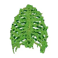 Greenery Ribs - design