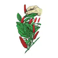 Red Hot Chilli Picker - design
