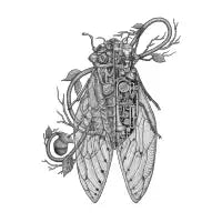 Anatomy of cicada (black version) - design