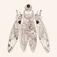 cicada poem - design