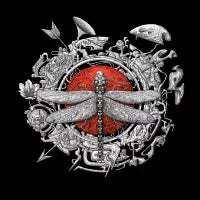 Dragonfly dream - design