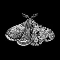Moth sci-fi 02 - design