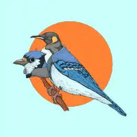 Secret of the Bird - design