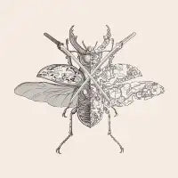 stag beetle samurai - design