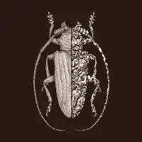 Sternotomis sci-fly - design