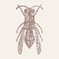 Wasp sci-fi - design