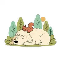 Afternoon Nap - design