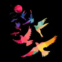 Birds - design