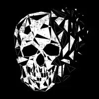 Decaying Geometric Skull - design
