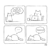 Existential cat - design