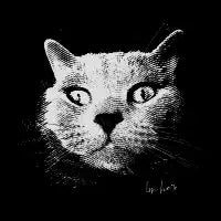 I'm here - design