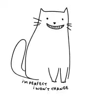 I’m perfect - design