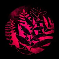 Magenta plants and hot sunset - design