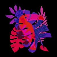 Magenta Tropical Vibes - design