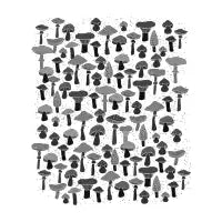 Magic mushrooms-black - design