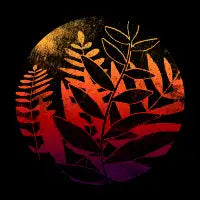 Plants Hot Sunset - design