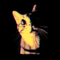 Surprised - design
