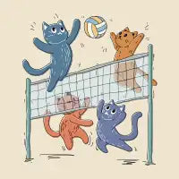 Volleycats - design