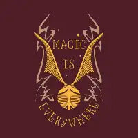 Magic Is Everywhere - design