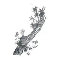 Pine tree on sumie - design