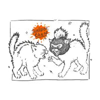 sunspot Chaos - design