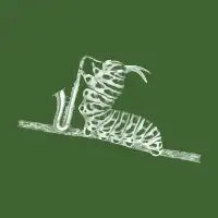 Caterpillar Playing Saxophone - design