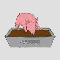 Coffee Pig - design