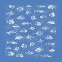 FISH - design