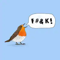Fuck Robin - design