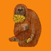Happy to share one... Orangutan - design
