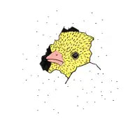 Heeere's Chicky - design
