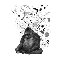 Moody Gorilla - design