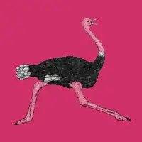 Ostrich - design