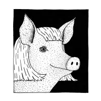 Pig in a Wig - design