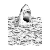 SHARK - design