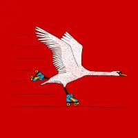 Skating Swan - design