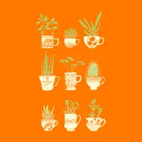 Teacup Succulents - design