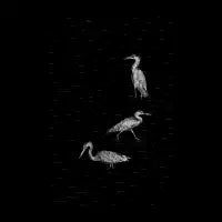Three Herons - design