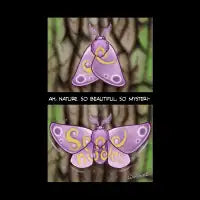 Send Moths - design