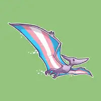 Transdactyl - design