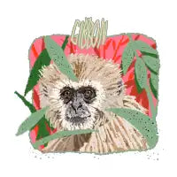 Gibbon - design