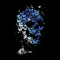Chaos Theory - design